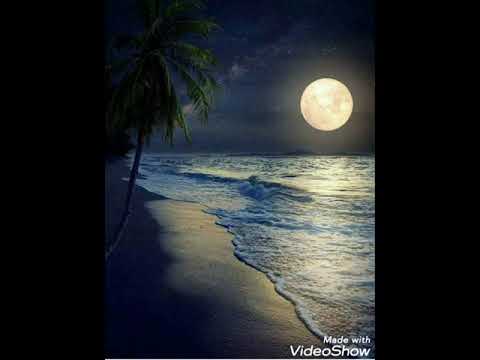 أم كلثوم ألف ليلة وليلة حالة واتس اب أم كلثوم ألف ليلة وليلة حالة واتس اب