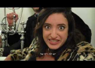 כלבים נגד חתולים