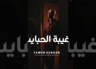 تامرعاشور سايب علامه وسيره حلوه على اللسان غيبةالحبايب