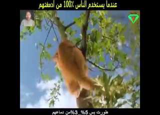 ملخص فيلم Lucy روعة وكيفية عمل العقل البشري
