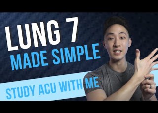 Everything You Need To Know About LUNG 7