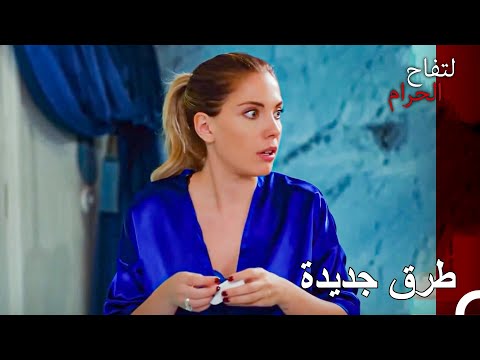 طرق كسب المال لا تنتهي عند يلدز ارجون التفاح الحرام الحلقة ال 42