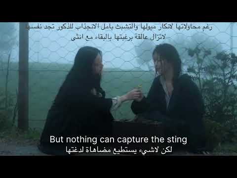 Sailor Song Gigi مترجمة مع الشرح