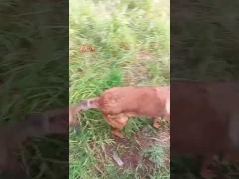 Fach Kandiha Lchi Blasa Fiha Tabi3a Maya