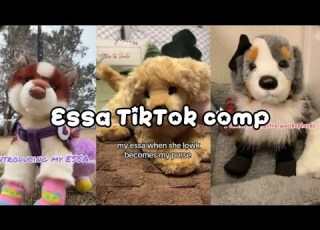  Essa Tt Comp Non Are Mine Credits Included Viralvideo Essa Essacomp