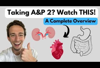 Anatomy Physiology 2 ENTIRE Course Explained In ONE Video