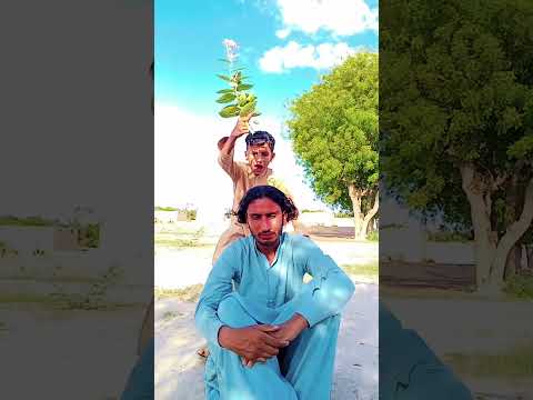 Have You Ever Got This Birthday Gift 2026