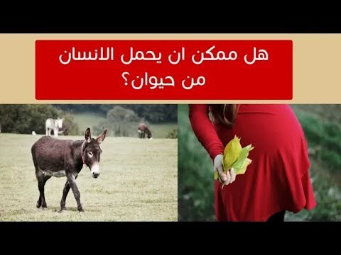 تزاوج البشر مع الحيوانات ما بين الأساطير و الحقيقة وهل يمكن ان يحمل الانسان من الحيوان