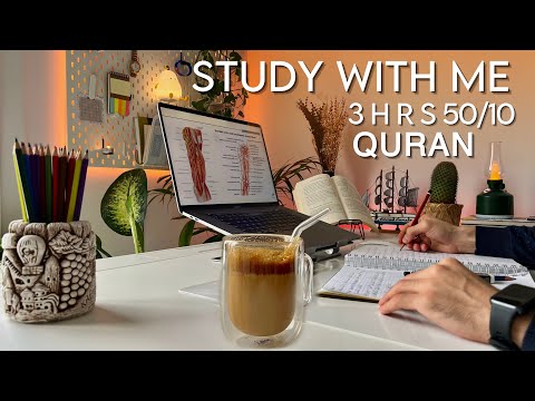 ادرس معي ٣ ساعات تلاوة القرآن ادرس معي مع القرآن بومودورو 50 10 مع أنور ادرس معي ٣ ساعات تلاوة القرآن ادرس معي مع القرآن بومودورو 50 10 مع أنور