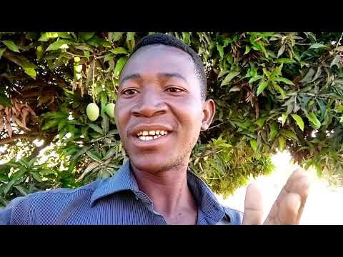 NDILA JIDAGU 2022 NG WANA NSIYA AONGEA HAYA