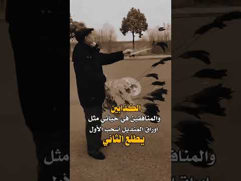 الكذابين والمنافقين في حياتي حالات واتس اب شيقة احترافية 2023 رووووووعه الكذابين والمنافقين في حياتي حالات واتس اب شيقة احترافية 2023 رووووووعه