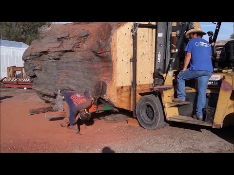 World S Biggest Chainsaw Vs Ancient Salvaged Redwood ViralHog