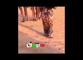  مالك من الخصر غير المتن وردوفه