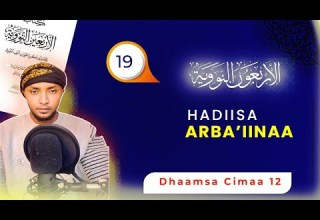 19 Hadiisa Arba Iinaa Dhaamsa Cimaa 12 Jireenya Kee Jijjiiran