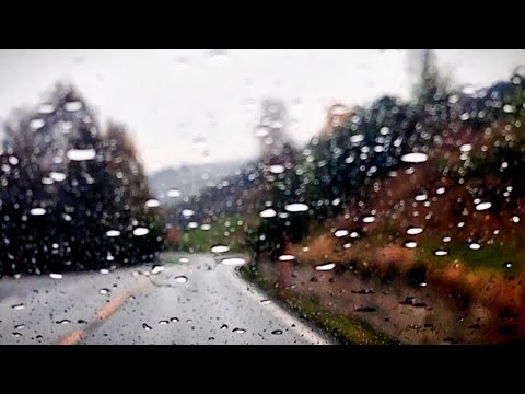 رحلة تحت المطر تغمرها أجواء الحنين والجمال مع أغنيات فيروز