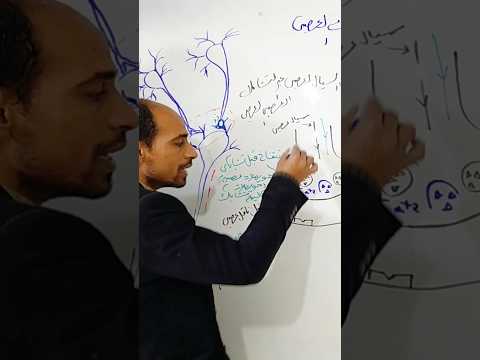 Explanation An Important Episode For Those Who Don T Understand Neural Synapses For The Second Explanation An Important Episode For Those Who Don T Understand Neural Synapses For The Second