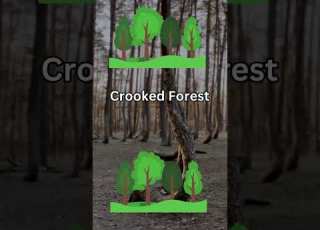 Read The Caption You Won T Believe These Unreal Places In Poland Discover Poland S Hidden