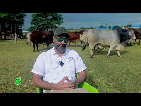 FURSA KUPITIA MAONESHO YA KIMATAIFA YA MIFUGO UBENA ZOMOZI CHALINZE