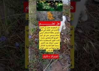 هل تعلم أن السعودية تعتبر من الدول النادرة في العالم التي لم تتعرض مطلقا لإحتلال أجنبي مباشر ورسمي