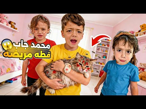 محمد واحمد شترو قطه وعملو مفاجئه لغزل ولولو كيف كانت ردة فعلن ا LoLo Ghazal