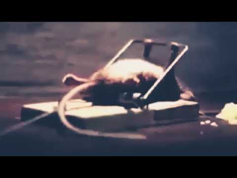 دالي دون دالي ستوري واتس حالات كولسوجا