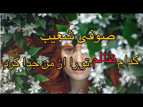 آهنگ جدید صوفی شعیب کدام ظالم تو را از من جدا کرد آهنگ جدید صوفی شعیب کدام ظالم تو را از من جدا کرد