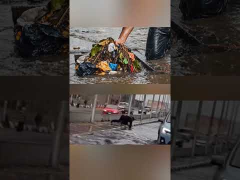 في عز المطر رجل مرور يحاول فتح فتحه تصريف المطر وينقذ الشارع من الغرق في عز المطر رجل مرور يحاول فتح فتحه تصريف المطر وينقذ الشارع من الغرق