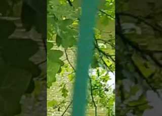 بأخلاقنا نسمو ونعلو وإنها هبة لذى التقوى وفضل من الله