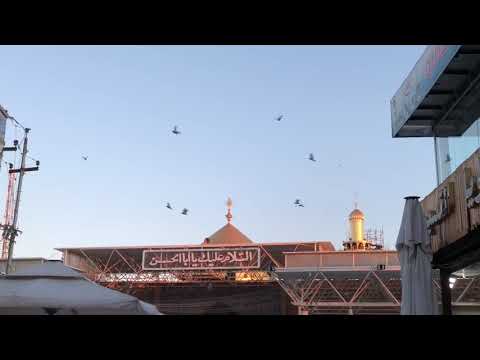 جعلنا الله وإياكم من المتمسكين بولاية أمير المؤمنين