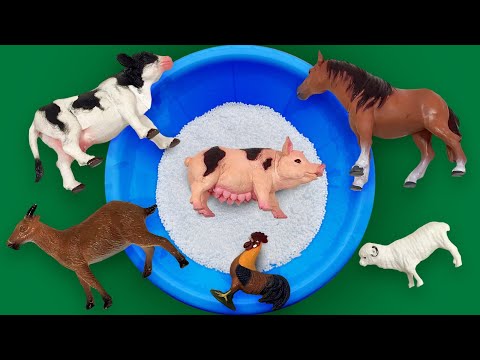 Μαθαίνουμε τα Ζώα της Φάρμας Eκπαιδευτικό κανάλι Koukoutsa Play Tv