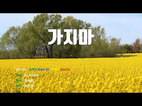 은성 반주기 가지마 PLAYER