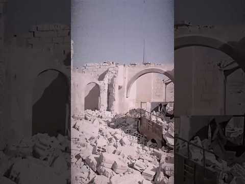 حارة الضبع بعد حرب ١٤ سنة