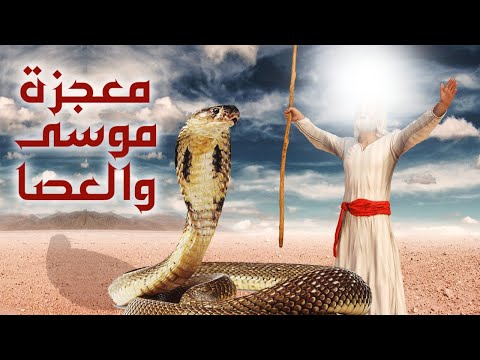 معجزة موسي مع السحرة ولماذا أمن سحرة فرعون حين القي موسي عصاه قالوا أمنا برب هارون وموسي معجزة موسي مع السحرة ولماذا أمن سحرة فرعون حين القي موسي عصاه قالوا أمنا برب هارون وموسي