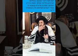 מה הרבה יותר גרוע מאכילת חזיר האדמור ממזיבוז שליט א בדברים נוראים לצפות עד הסוף