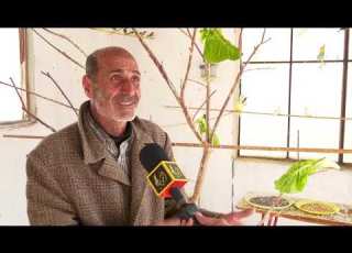  سعد أبو هاني مسن فلسطيني يدرب طائر اون على اللهجة الفلسطينية