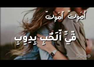 حالة واتسابlحمو بيكاl اموت اموت في الحب بدوب 2019