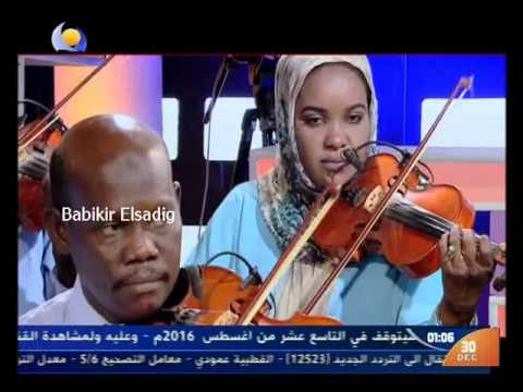 عصام محمد نور حلمي الجميل