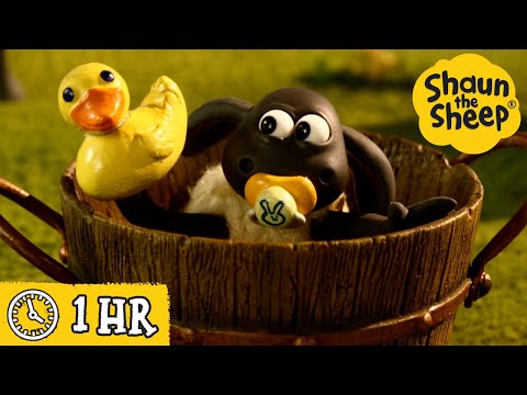 Shaun The Sheep Timmy S Bath Time MORE Full Episodes Compilation