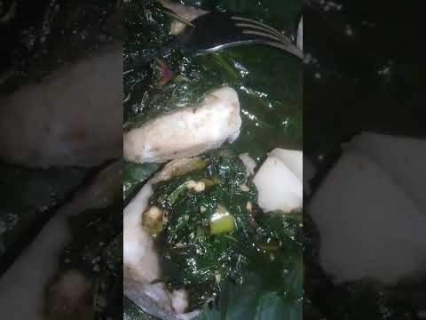 Meal Prepared From The Garden Abiodun Mohammed Adeyemi Ajijola