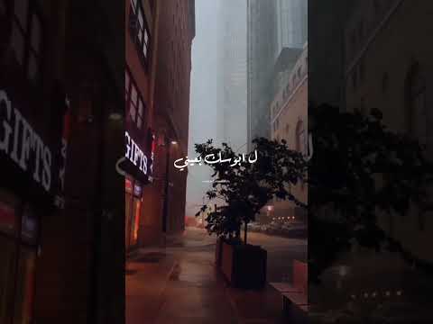 دايمآ في بالي و بعد الليالي حالات وتس اب