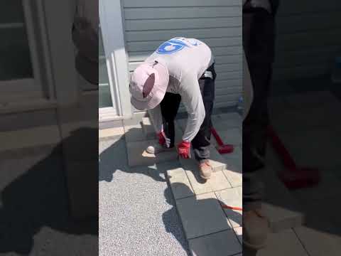 Https Www Instagram Com Reel CvgT9maP9YH