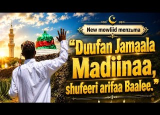  Duufan Jamaala Madiinaa የመውሊድ ልዩ የሐድራ መንዙማ ሐድራ ቤታችን Official Mawlid Hadra 2026