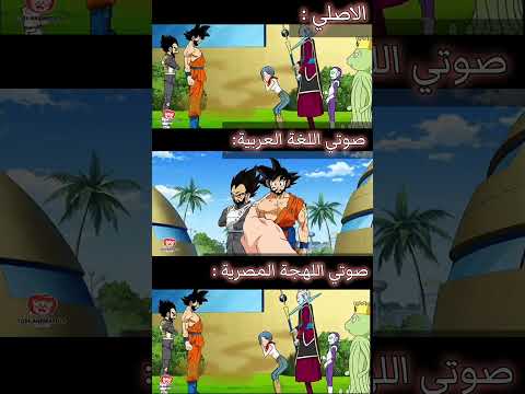 دبلجت صوت شخصية بولما من انمي دراغون بول صوتي دراغون بول