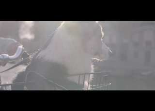 Jay Nash Strange Illusion Official Video