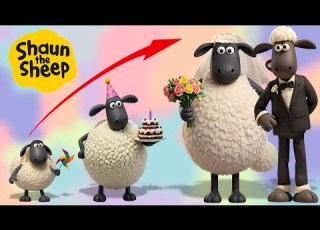  Shaun The Sheep Growing Up From Cute Lambs To Grumpy Oldies