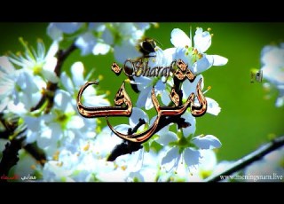 معنى اسم شرف وصفات حامل و حاملة هذا الاسم Sharaf