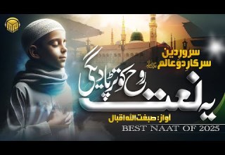 New Beautiful Naat 2025 Sarkar E Do Aalam Sarwar E Deen Merciful Nasheeds