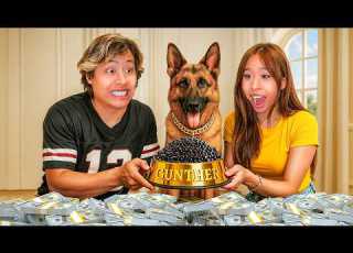 My Spoiled Sister Meets The World S Richest Dog Gunther