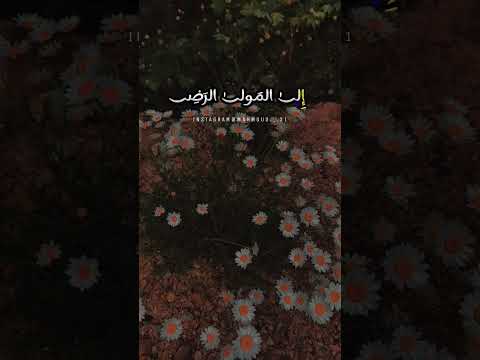 س لمي ي ا نفس في ح كم القض ا يوسف الأيوب س لمي ي ا نفس في ح كم القض ا يوسف الأيوب