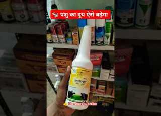  Use SPEED UP Increase Milk Production Of Cow And Buffalo Animals Are Unable To Stand And Have